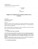 Rapport sur le diagnostic de la situation actuelle et de ses incidences