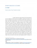 La toupie cas