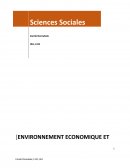 Environnement économique et sociologique