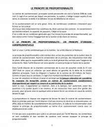 dissertation le surendettement des cautions dissertation le surendettement des cautions