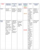 Etude de cas macrocible.