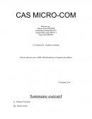 CAS MICRO-COM, ADM 1700 Introduction à la gestion des affaires
