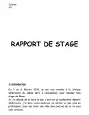 Rapport de stage Vétérinaire