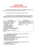 Le tourteau de Colza (zootechnie)