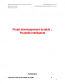 Projet de développement durable: la poubelle intelligente.