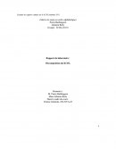 Rapport de laboratoire KCLO3