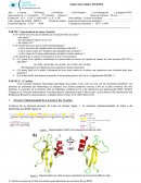 Partiel L2 SV BCB SFP 2015