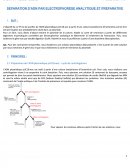 Séparation d'ADN par électrophorèse analytique et préparative.