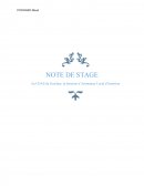 Note de Stage, Animateur Local d'insertion.