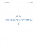 Dossier d'Analyse Institutionnelle.