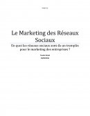 Exposé, le Marketing des Réseaux Sociaux.