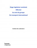 Rapport de Stage ingénieur assistant