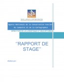 Rapport de stage, marchés publics.