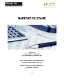 Rapport de stage en cabinet Conseil en organisation et gestion et en agence de voyage et tourisme.