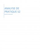 Analyse de pratique infirmière EHPAD.