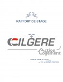 Rapport de stage à Cilgere