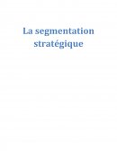La segmentation stratégique.