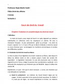 Cours de droit du travail - Maroc