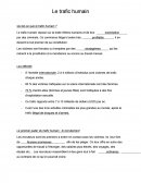 Trafic humain - exercices