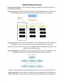 MANAGEMENT - Les différents types de structures