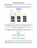 MANAGEMENT - Les différents types de structures