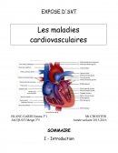 Les maladies cardiovasculaires