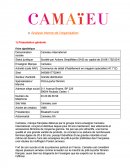 Analyse interne de Camaïeu