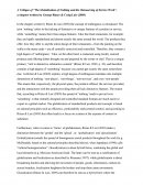 Critique of Ritzer & Lair's (2009) the Globalization of Nothing
