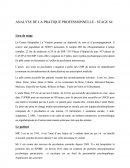 Analyse de la pratique professionnelle, stage S4