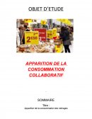 Consommation des ménages, apparition de la consommation collaborative.