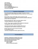 Cv type pour stage assurance