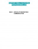 RAPPORT PROFESSIONNEL SNCF
