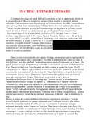 Dissertation français: repenser l'ordinaire.