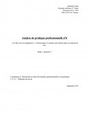 Analyse de Pratique Professionnelle infirmière aux urgences