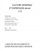 Culture générale et expression, devoir n°3