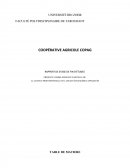 Rapport de stage COPAG