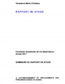 Assistante de vie, rapport de stage