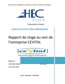 Rapport de stage au sein de l'entreprise CEVITAL dans le département des finances.
