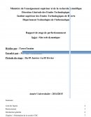 Rapport de stage de perfectionnement (études technologiques)