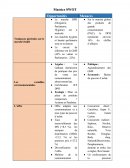 Matrice SWOT AUCHAN