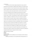 Management des entreprises devoir 1