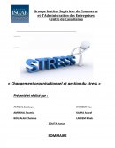 Changement et gestion du stress dans les organisations