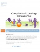 Compte-rendu de stage SP1