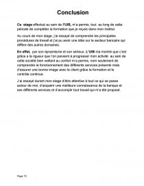 Rapport De Stage D Initiation A Uib Groupe Societe Generale Etude De Cas Tigana
