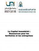 Capital immatériel: ressources pour les territoires et les entreprises.