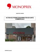 Dossier d'animation, Monoprix