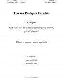 TPE Première S - Epilepsie