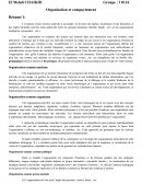 Résumé du document visage de l'organisation