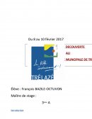 Exemple de rapport de stage