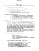 Droit pénal S3